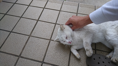 7���E����ɖ߂�܂����I